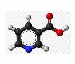 Vitamin B3 | Niacin